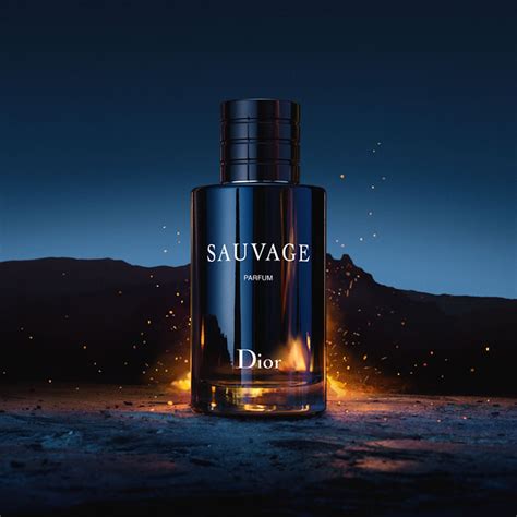 best version of dior sauvage|aftershave similar to sauvage.